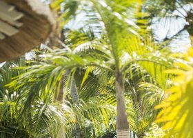 mauricius-hotel-veranda-palmar-beach-071_ext_w_2.jpg